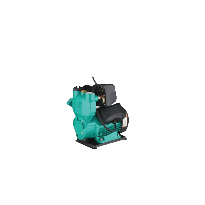 DWM Automatic self priming vortex pump