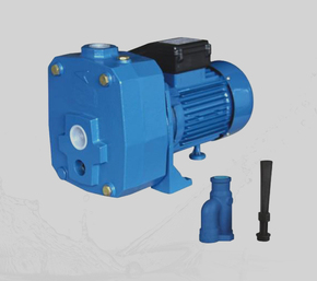 DP505